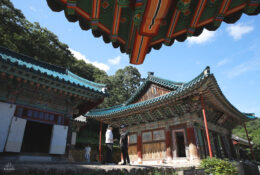 South_Korea (4/70)